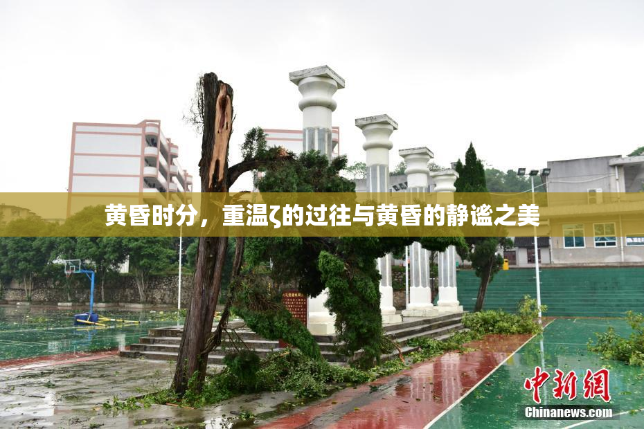 黄昏时分，重温ζ的过往与黄昏的静谧之美