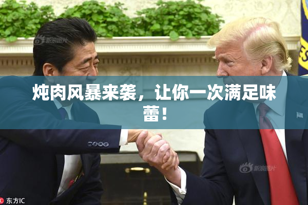 炖肉风暴来袭，让你一次满足味蕾！