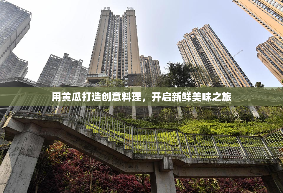用黄瓜打造创意料理，开启新鲜美味之旅