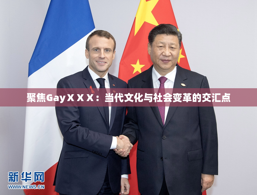 聚焦GayⅩⅩⅩ：当代文化与社会变革的交汇点