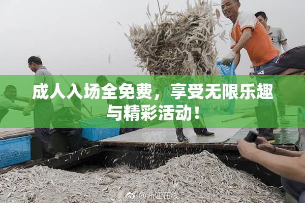 成人入场全免费，享受无限乐趣与精彩活动！