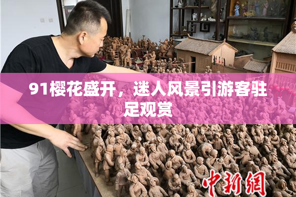 91樱花盛开，迷人风景引游客驻足观赏