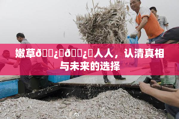 嫩草🌿‌🌿‌人人，认清真相与未来的选择