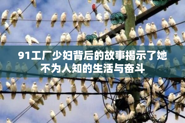 91工厂少妇背后的故事揭示了她不为人知的生活与奋斗