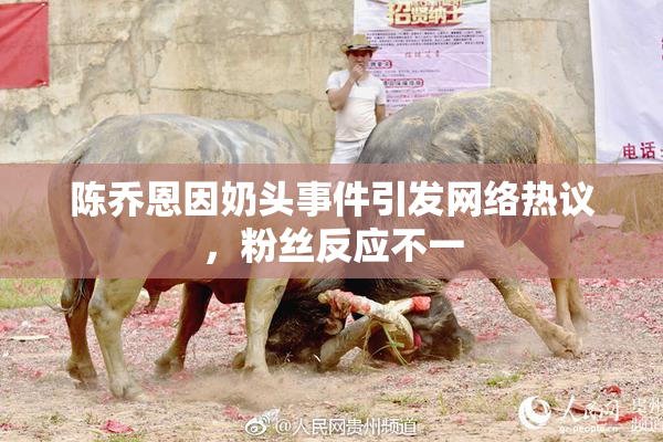 陈乔恩因奶头事件引发网络热议，粉丝反应不一
