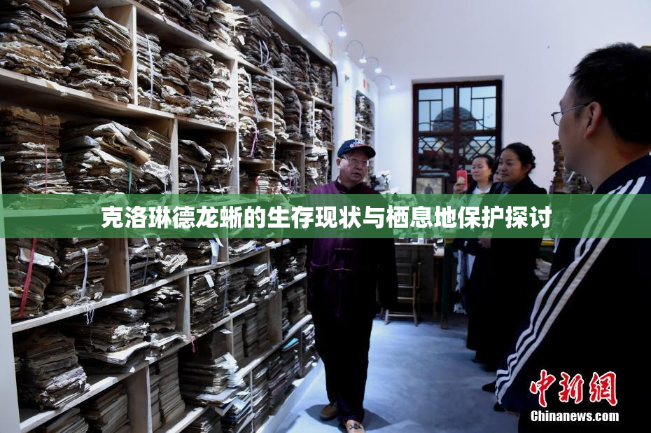 克洛琳德龙蜥的生存现状与栖息地保护探讨