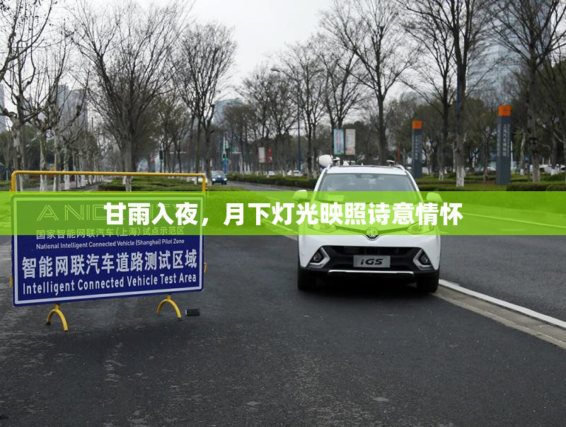 甘雨入夜，月下灯光映照诗意情怀