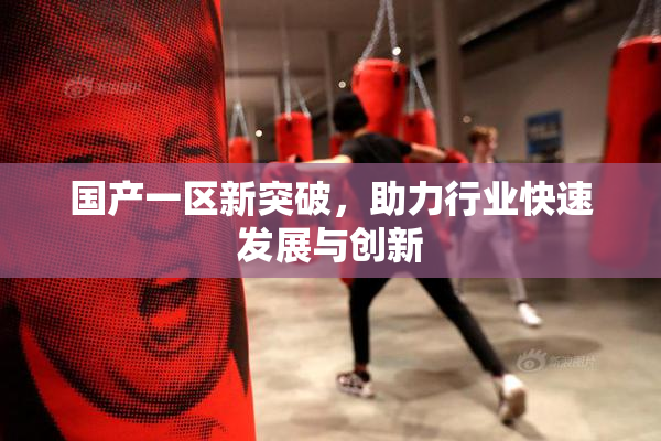 国产一区新突破，助力行业快速发展与创新