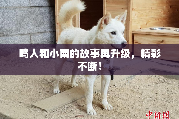 鸣人和小南的故事再升级，精彩不断！