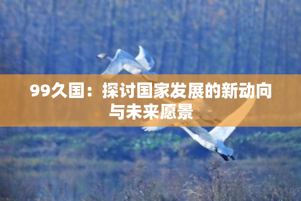 99久国：探讨国家发展的新动向与未来愿景