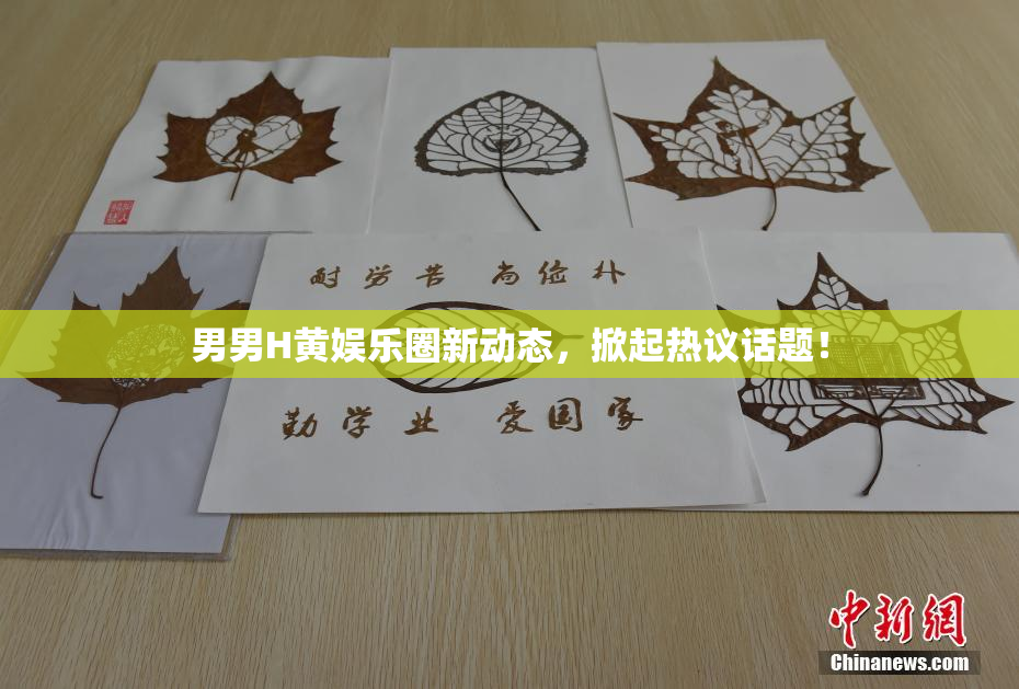 男男H黄娱乐圈新动态，掀起热议话题！