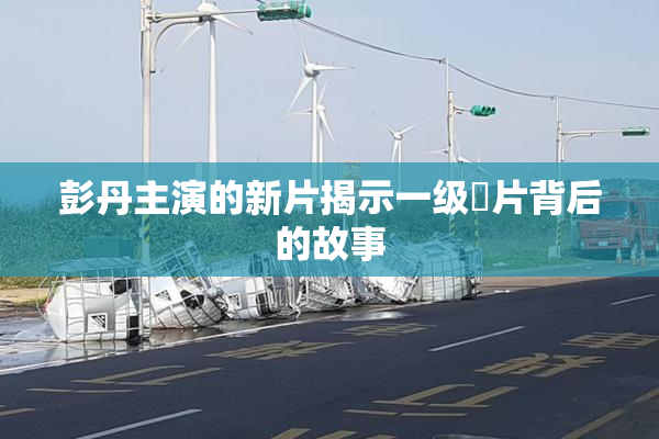 彭丹主演的新片揭示一级婬片背后的故事
