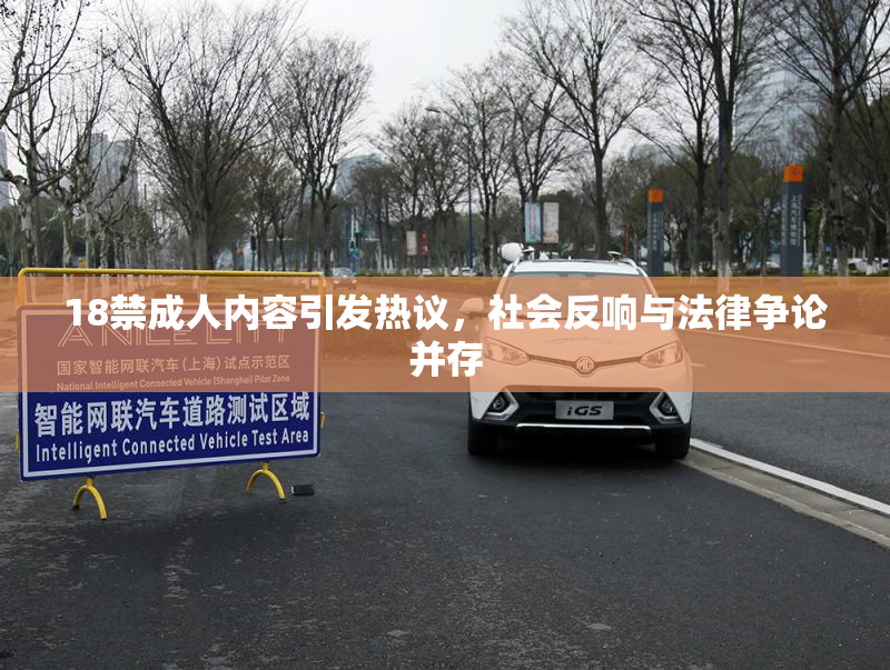 18禁成人内容引发热议，社会反响与法律争论并存