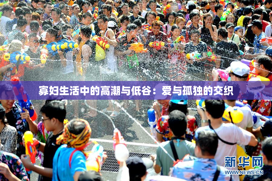 寡妇生活中的高潮与低谷：爱与孤独的交织