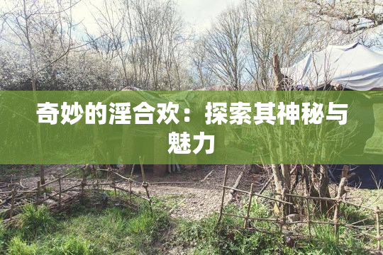 奇妙的淫合欢：探索其神秘与魅力