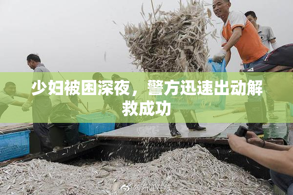 少妇被困深夜，警方迅速出动解救成功