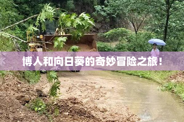 博人和向日葵的奇妙冒险之旅！