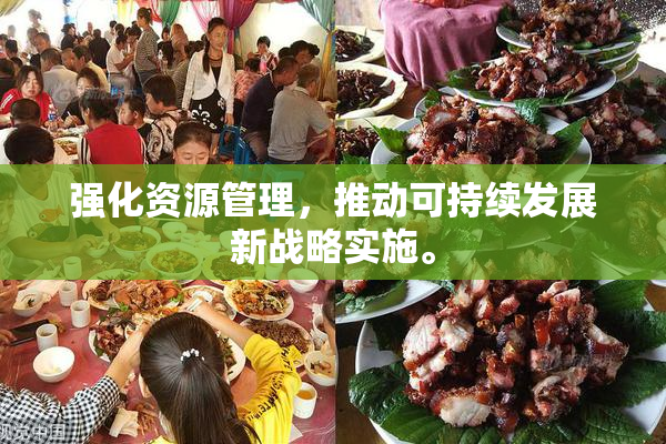 强化资源管理，推动可持续发展新战略实施。