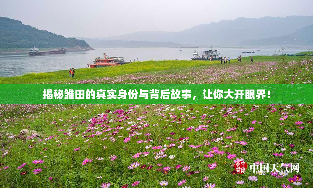 揭秘雏田的真实身份与背后故事，让你大开眼界！
