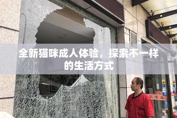 全新猫咪成人体验，探索不一样的生活方式