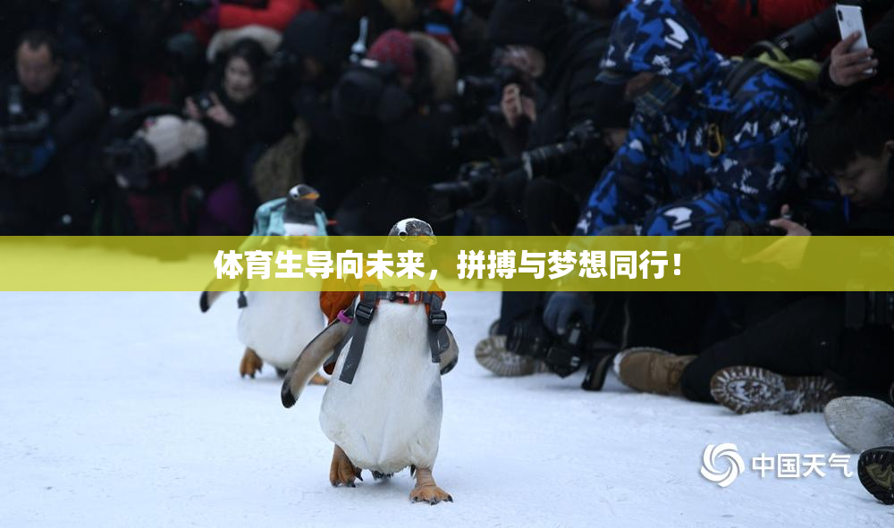 体育生导向未来，拼搏与梦想同行！
