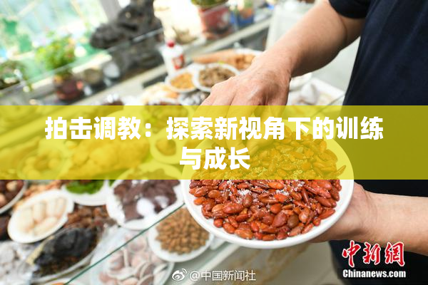 拍击调教：探索新视角下的训练与成长