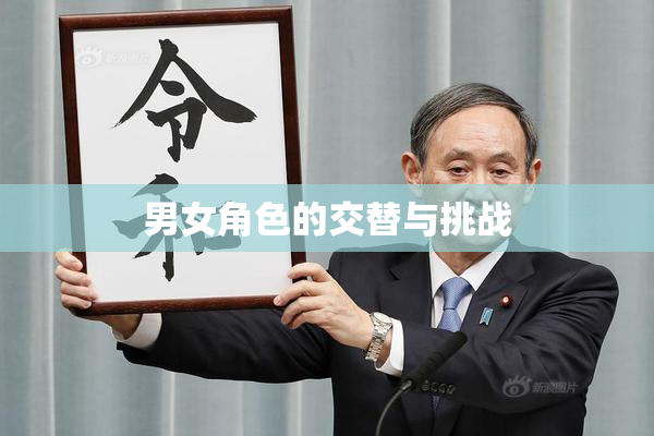 男女角色的交替与挑战