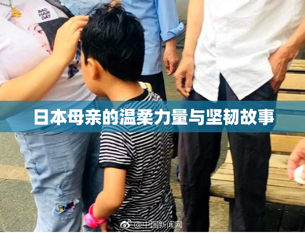 日本母亲的温柔力量与坚韧故事