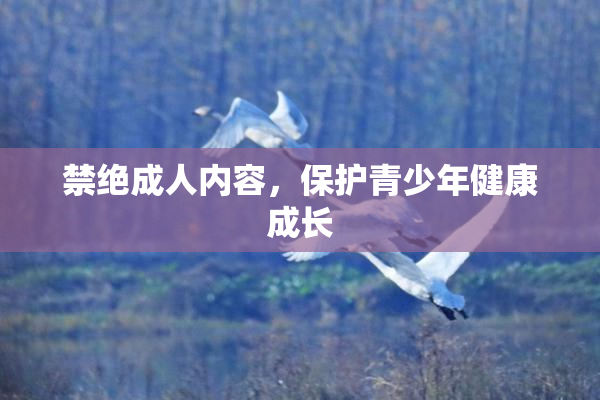 禁绝成人内容，保护青少年健康成长
