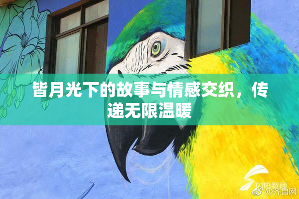 皆月光下的故事与情感交织，传递无限温暖