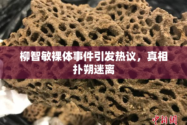 柳智敏裸体事件引发热议，真相扑朔迷离