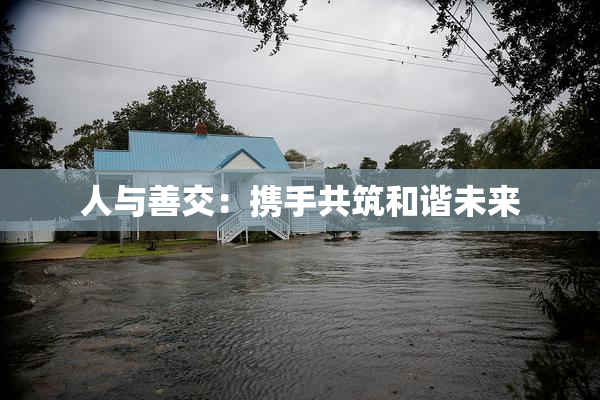 人与善交：携手共筑和谐未来