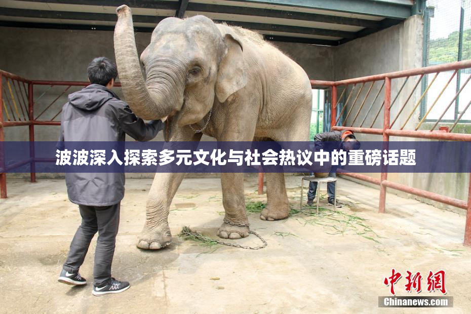 波波深入探索多元文化与社会热议中的重磅话题