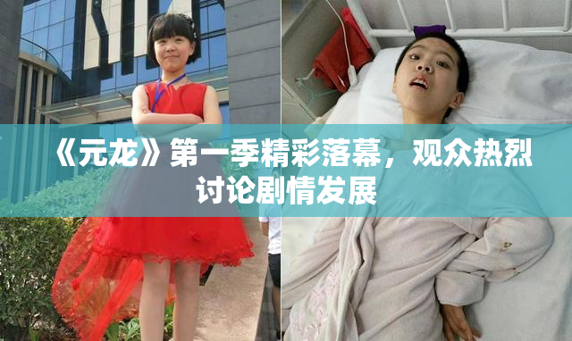 《元龙》第一季精彩落幕，观众热烈讨论剧情发展