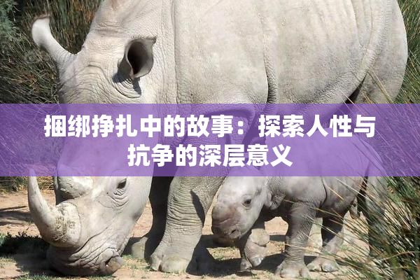 捆绑挣扎中的故事：探索人性与抗争的深层意义