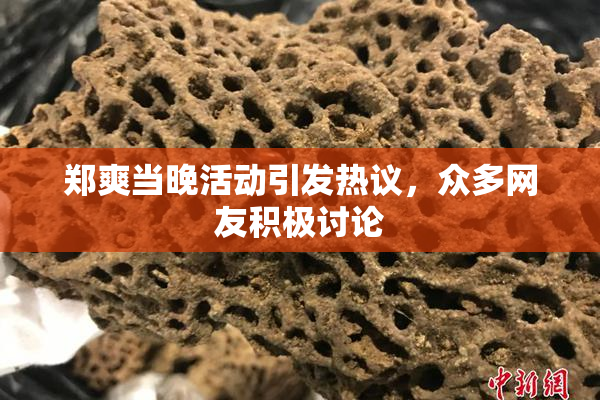 郑爽当晚活动引发热议，众多网友积极讨论