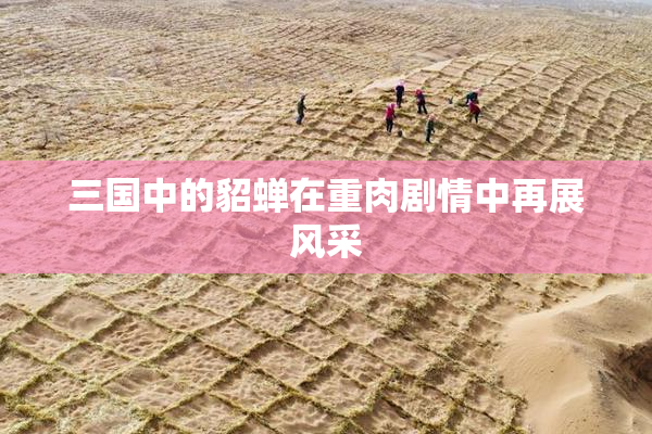 三国中的貂蝉在重肉剧情中再展风采
