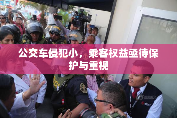 公交车侵犯小，乘客权益亟待保护与重视