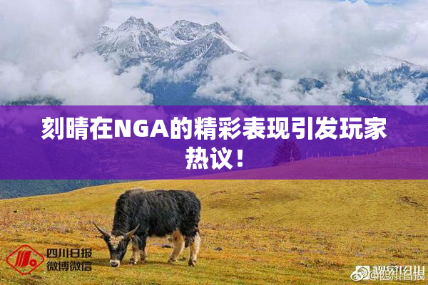 刻晴在NGA的精彩表现引发玩家热议！