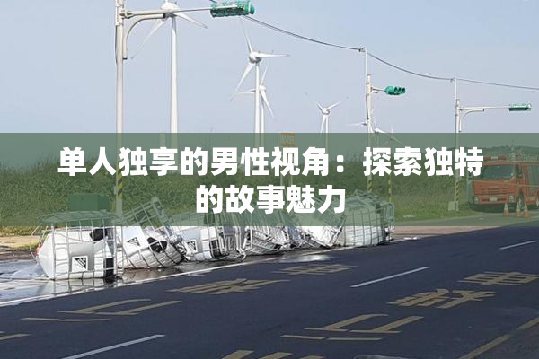 单人独享的男性视角：探索独特的故事魅力