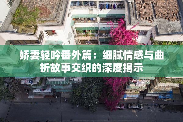 娇妻轻吟番外篇：细腻情感与曲折故事交织的深度揭示