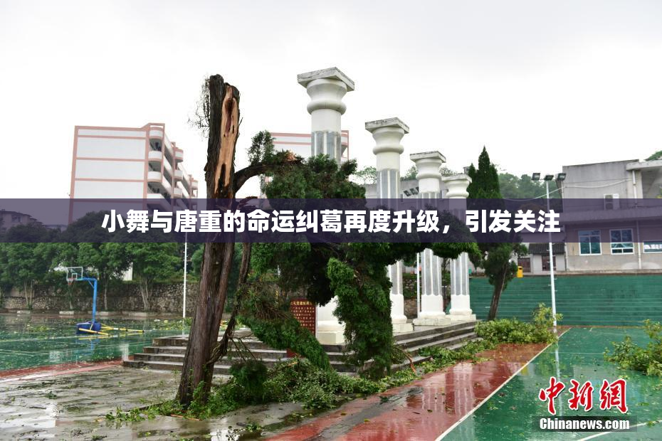 小舞与唐重的命运纠葛再度升级，引发关注