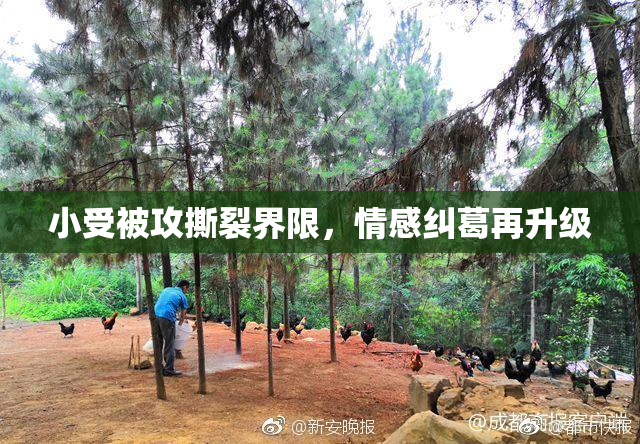 小受被攻撕裂界限，情感纠葛再升级