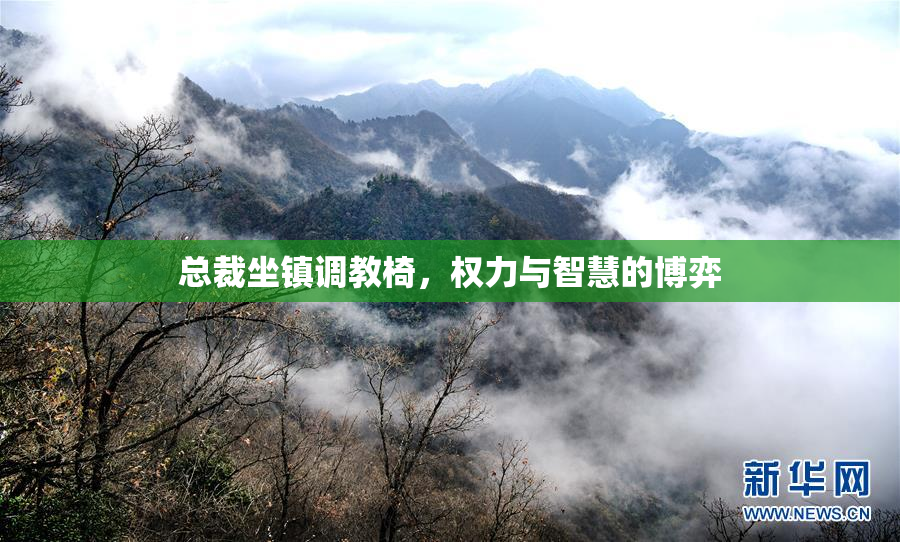 总裁坐镇调教椅，权力与智慧的博弈