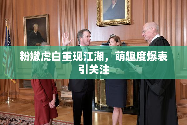 粉嫩虎白重现江湖，萌趣度爆表引关注