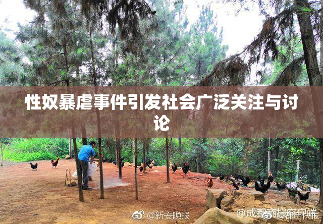 性奴暴虐事件引发社会广泛关注与讨论