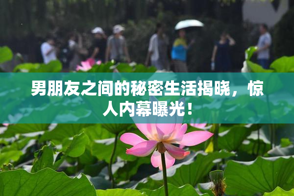 男朋友之间的秘密生活揭晓，惊人内幕曝光！
