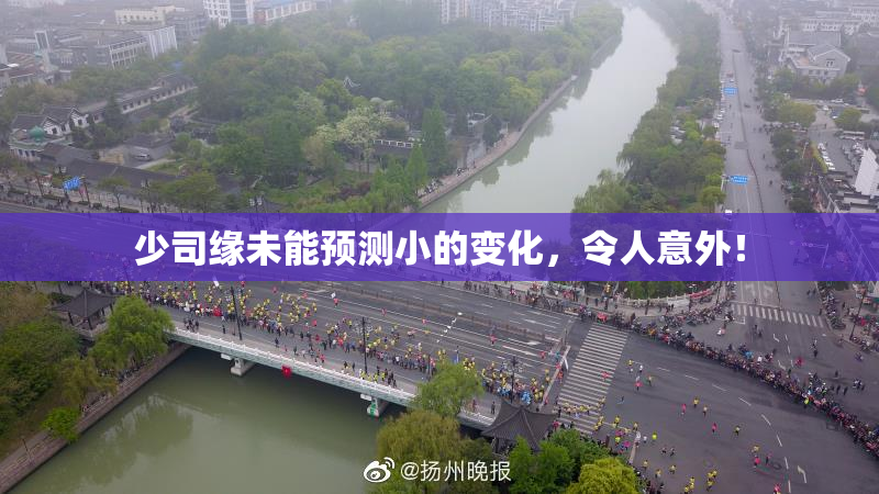 少司缘未能预测小的变化，令人意外！