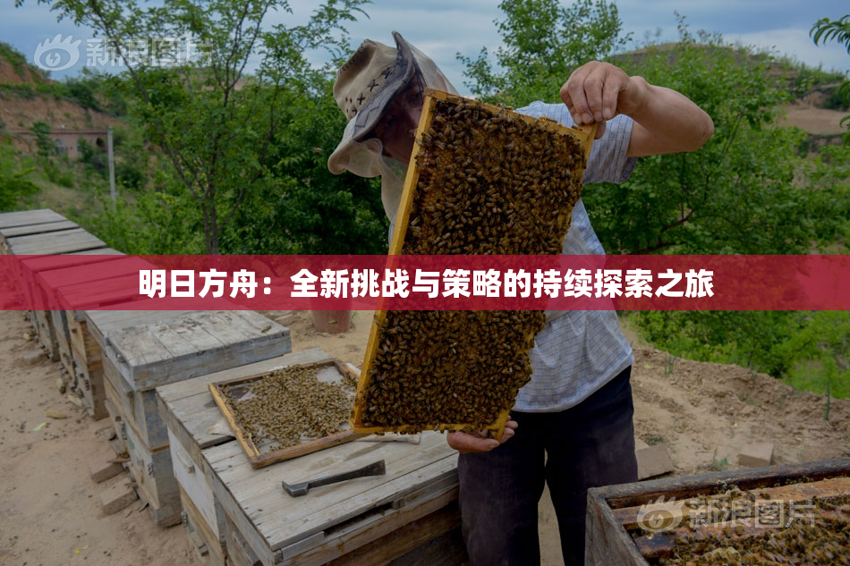 明日方舟：全新挑战与策略的持续探索之旅