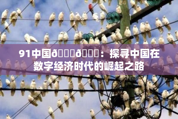 91中国🍆🍑：探寻中国在数字经济时代的崛起之路